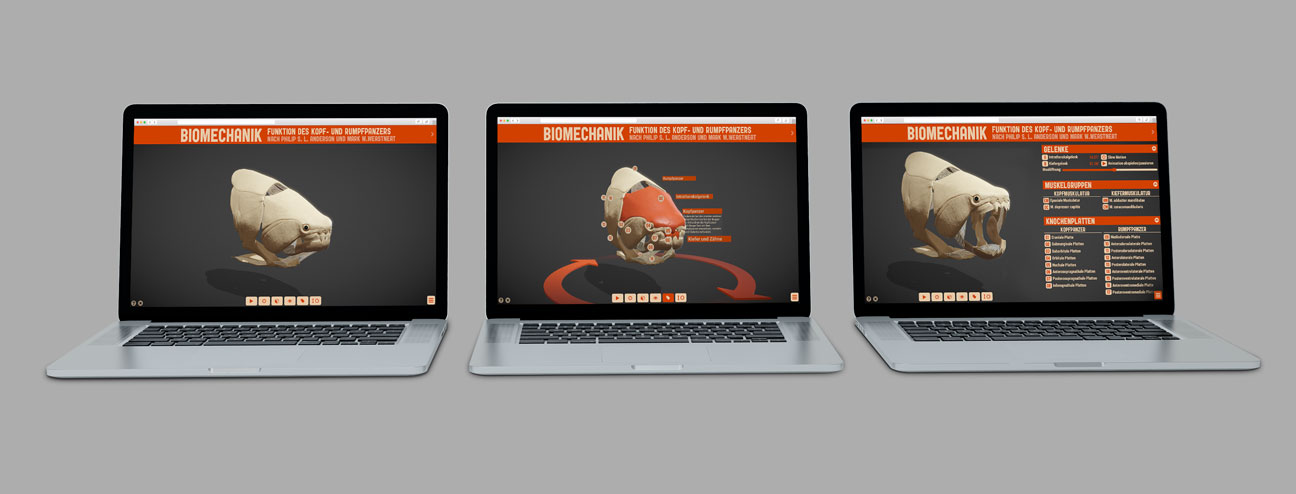 Fotomontage: Drei geöffnete Laptops mit unterschiedlichen Ansichten eines Dunkleosteus-Schädels und diverser Interface-Elemente.
