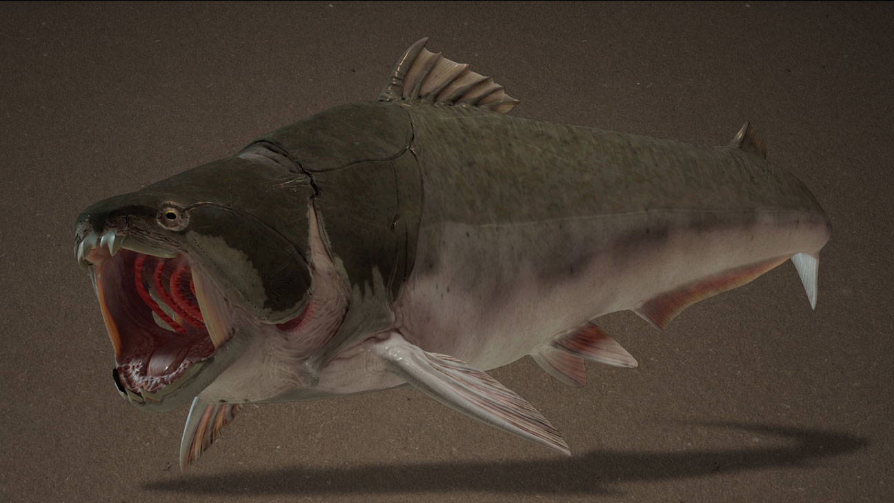 3D-Illustration: Rekonstruktion des prähistorischen Panzerfisches Dunkleosteus Terrelli (Placoderm)